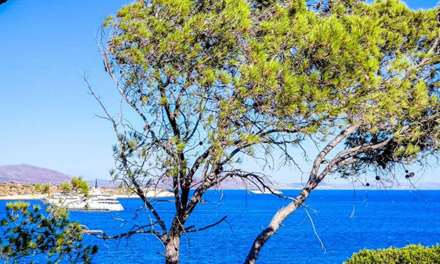 Καιρός: Μικρή πτώση της θερμοκρασίας και τοπικές καταιγίδες
