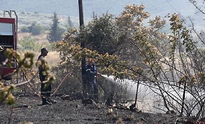 Σε συναγερμό η χώρα: 32 πυρκαγιές το τελευταίο 24ωρο - Πού ήταν τα δυσκολότερα μέτωπα