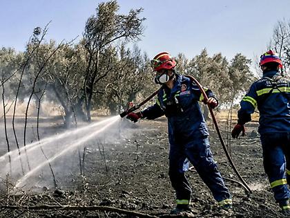 Συνελήφθη 57χρονη για πυρκαγιά από πρόθεση στην Κορινθία