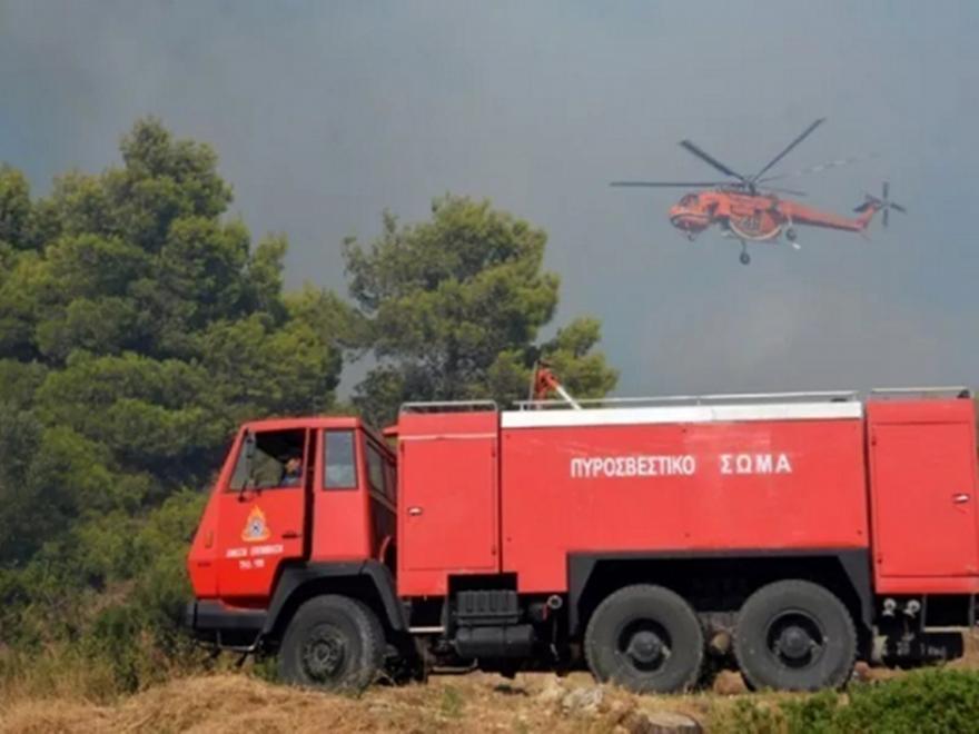 Πυρκαγιά σε αγροτοδασική έκταση στη Λούτσα Ευβοίας - Ισχυρές δυνάμεις στο σημείο, drone στέλνει συνεχή εικόνα