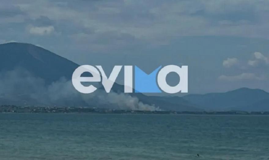 Οριοθετήθηκε η φωτιά στη Δροσιά Χαλκίδας