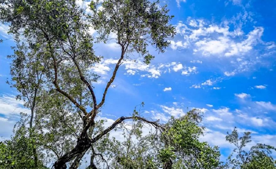 Καιρός: Λίγες βροχές και άνοδος της θερμοκρασίας σήμερα στη χώρα