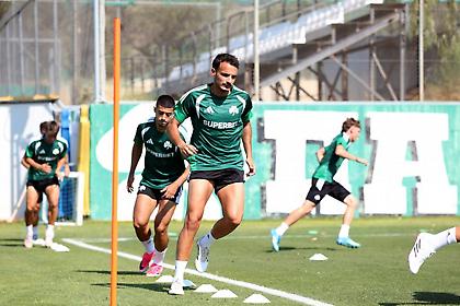 Με Πελίστρι και σε δύο γκρουπ η προπόνηση του Παναθηναϊκού