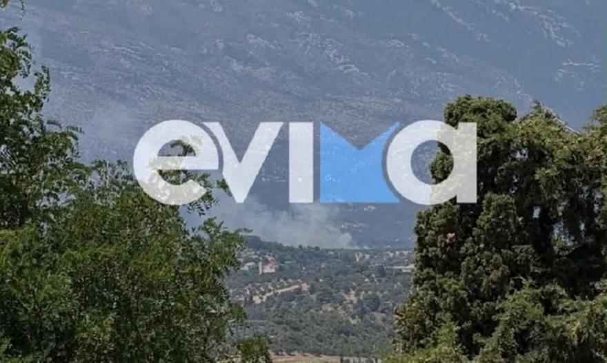 Φωτιά στην Εύβοια: Μήνυμα από το 112 για εκκένωση χωριού