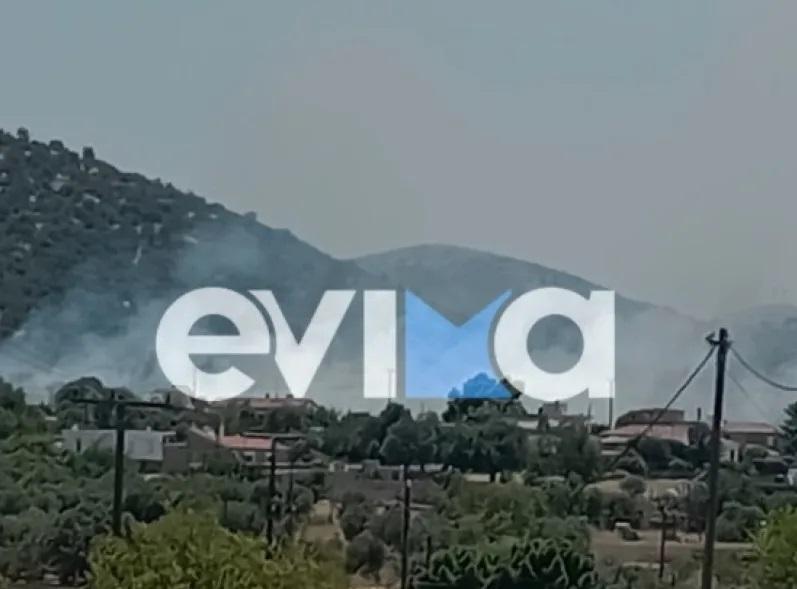 Υπό μερικό έλεγχο η πυρκαγιά στην περιοχή Μηλάκι Ευβοίας