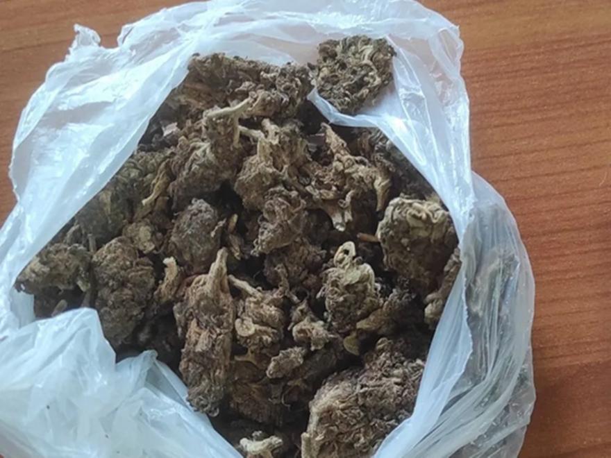 Θεσσαλονίκη: Έκρυβαν κάνναβη στα κεραμίδια δημοτικού σχολείου – Στις ανακριτικές αρχές 16χρονος και 20χρονη