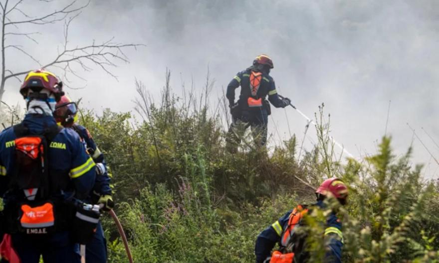 Φωτιά σε αγροτοδασική έκταση στο Ωραιόκαστρο Θεσσαλονίκης – Επιχειρούν ισχυρές πυροσβεστικές δυνάμεις