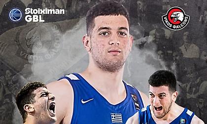 Ενισχύονται με Πατρίκη οι Vikos Falcons