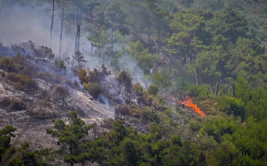 Σάμος: Πυρκαγιά σε δασική έκταση στη θέση «Προφήτης Ηλίας», στο όρος Καρβούνη