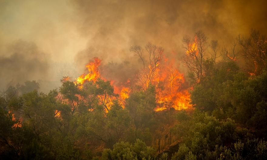 Τέσσερις συλλήψεις για την πυρκαγιά στην Πάρο, μεταξύ των συλληφθέντων ο δήμαρχος και ο αντιδήμαρχος καθαριότητας!