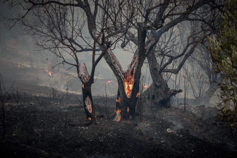 Φωτιά στη Λέσβο: «Καλύτερη η εικόνα, αλλά όλοι παραμένουμε σε επιφυλακή»