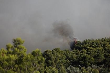 Βοιωτία: Συνεχίζεται η μάχη με τις φλόγες – Η φωτιά κατευθύνεται προς Δομβραίνα