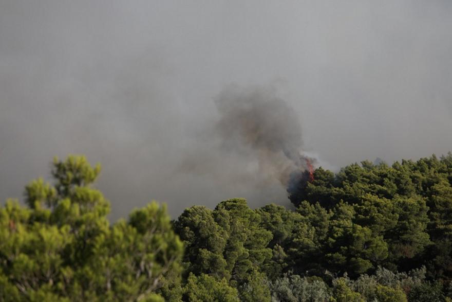 Βοιωτία: Συνεχίζεται η μάχη με τις φλόγες – Η φωτιά κατευθύνεται προς Δομβραίνα