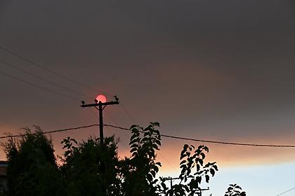 Πύρινο τόξο στον Κιθαιρώνα: Κρίσιμες ώρες για Βένιζα και Ψάθα – Τιτάνια προσπάθεια να ανακοπεί η φωτιά