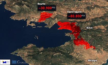Τουλάχιστον 111.700 στρέμματα στάχτη στη δίδυμη καταστροφή στην Αττικοβοιωτία