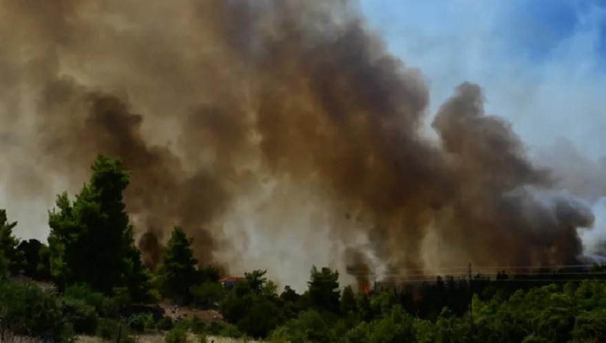 Συνελήφθη 44χρονος για εμπρησμό από πρόθεση στην Κεφαλονιά
