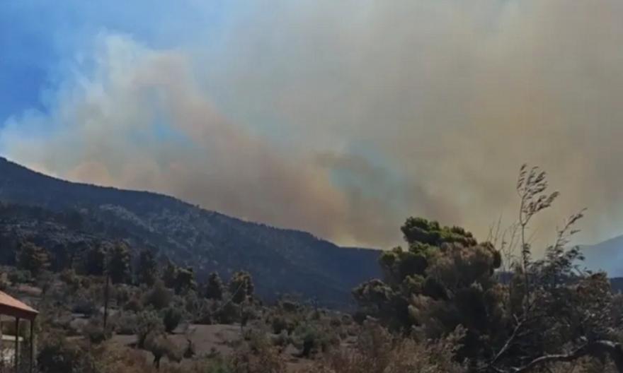 Εκκενώνεται η Ψάθα, οι φλόγες έφτασαν στα σπίτια - Καίγεται κτηνοτροφική μονάδα στα Μέγαρα