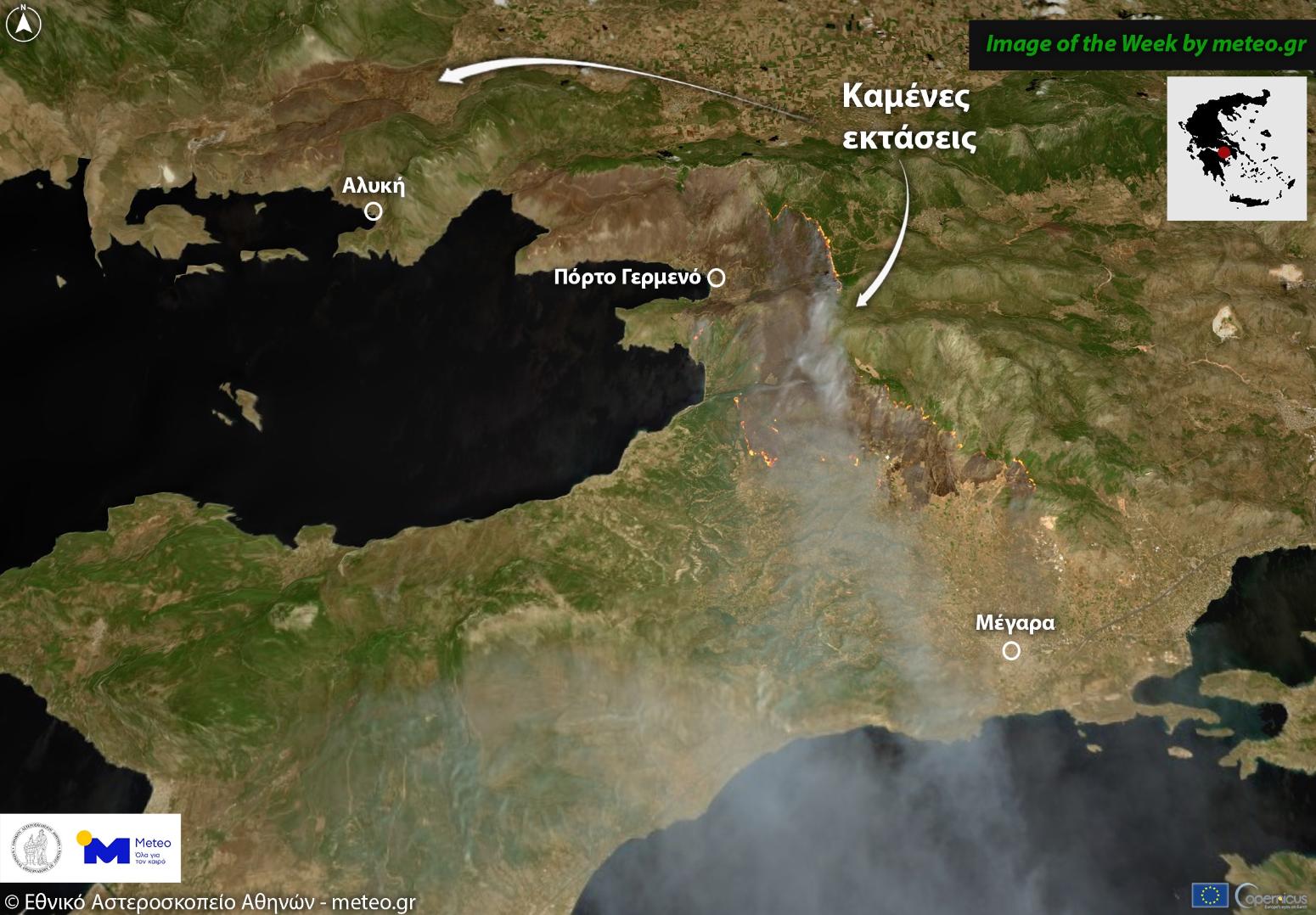 Δυτική Αττική: Πάνω από 480.000 στρέμματα έγιναν στάχτη τα τελευταία 9 χρόνια