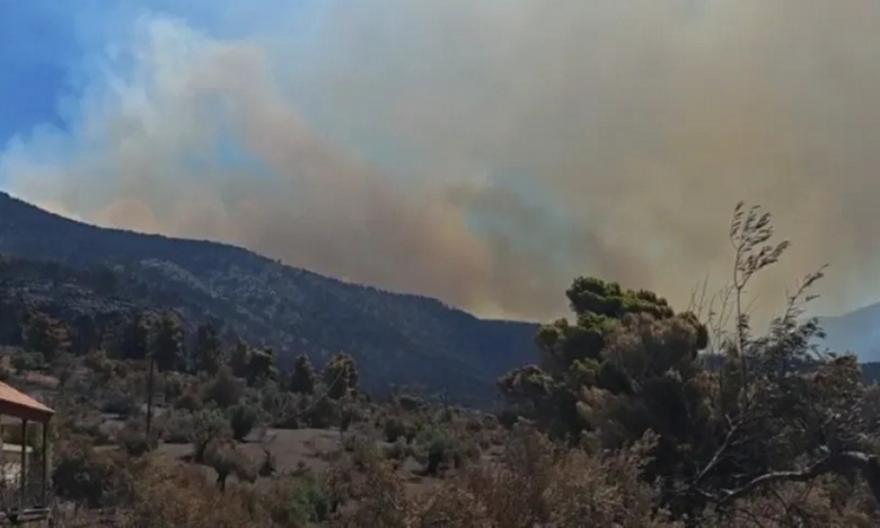 Πύρινη κόλαση στη Δυτική Αττική: Εκκενώνεται η Ψάθα - 112 για Λούμπα, Μορφέικα και Άνω Αλεποχώρι