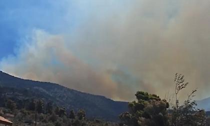 Πύρινη κόλαση στη Δυτική Αττική: Εκκενώνεται η Ψάθα - Στις αυλές σπιτιών οι φλόγες στη Λούμπα