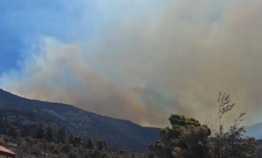 Πύρινη κόλαση στη Δυτική Αττική: Εκκενώνεται η Ψάθα - Στις αυλές σπιτιών οι φλόγες στη Λούμπα