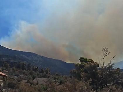 Σε Κανδήλι και Αγία Σκέπη τα κύρια μέτωπα - Αναζωπύρωση σε Κιθαιρώνα και Κεφαλονιά