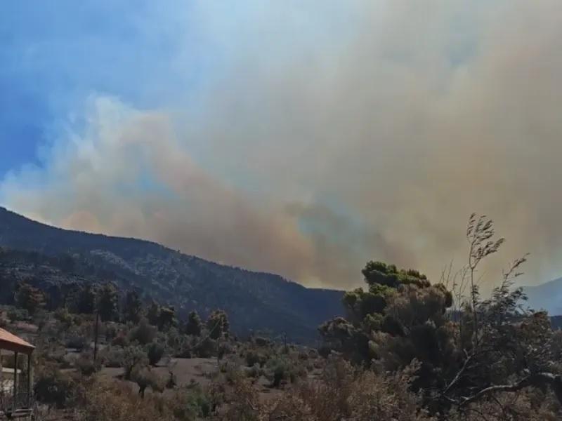 Σε Κανδήλι και Αγία Σκέπη τα κύρια μέτωπα - Αναζωπύρωση σε Κιθαιρώνα και Κεφαλονιά