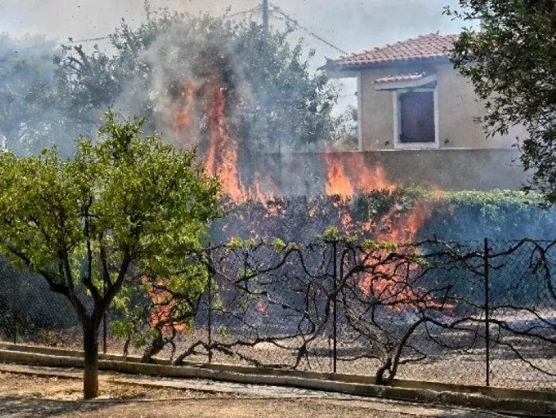 H Ελληνική Ένωση Τραπεζών ανακοίνωσε μέτρα στήριξης των πυρόπληκτων
