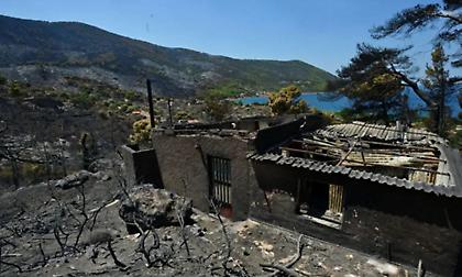 Δυτική Αττική: Περιπολίες στα καμένα για τον κίνδυνο αναζωπυρώσεων - Εικόνες καταστροφής
