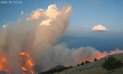 Συγκλονιστικό timelapse βίντεο από τη ραγδαία εξάπλωση της φωτιάς στις πλαγιές του Κιθαιρώνα