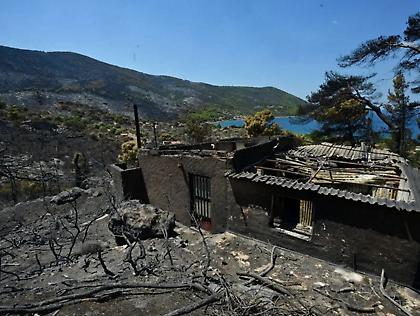 Άμεση κρατική αρωγή και στήριξη των πληγέντων - Το σχέδιο αποκατάστασης των περιοχών που επλήγησαν από τις πυρκαγιές