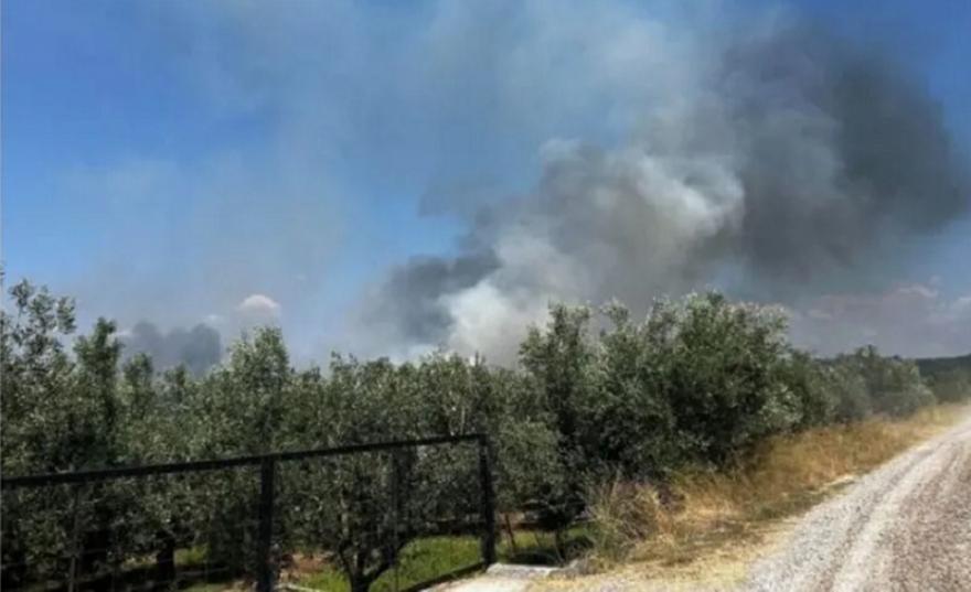 Οριοθετήθηκε η φωτιά στο Αγρίνιο - Δεν απειλεί η φωτιά στην Καλαμάτα
