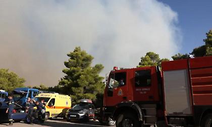 Φωτιά σε χαμηλή βλάστηση στο Καρύδι Λασιθίου - Εστάλη μήνυμα από το 112