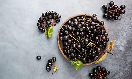 Αρώνια: Γιατί αυτό το μικρό μούρο θεωρείται superfood