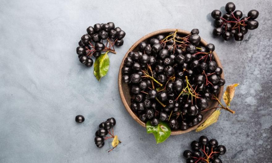 Αρώνια: Γιατί αυτό το μικρό μούρο θεωρείται superfood