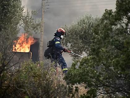 Καλύτερη εικόνα στη φωτιά στον Λουτρόπυργο Αττικής