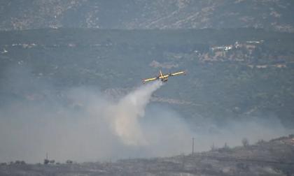 Ανεξέλεγκτη η φωτιά στην Κασσάνδρα Χαλκιδικής - Νέο 112 για Φούρκα και Σίβηρη