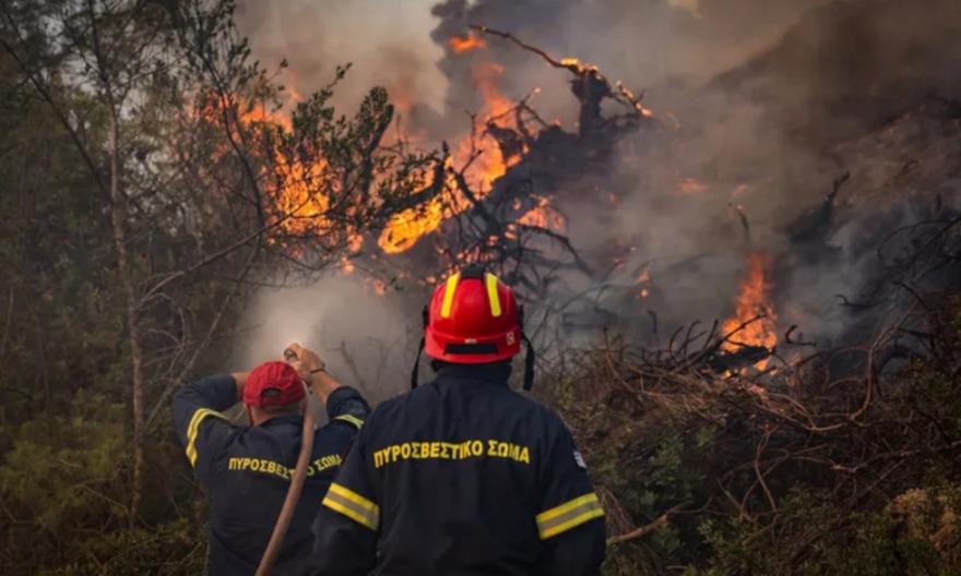 Φωτιά στη Σίβηρη Χαλκιδικής: Κατέθεσαν στη ΔΑΕΕ ο διευθυντής και ο υπεύθυνος εκμετάλλευσης του ΔΕΔΔΗΕ