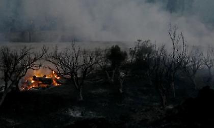 Ολονύχτια μάχη με διάσπαρτες εστίες και αναζωπυρώσεις στη Χαλκιδική
