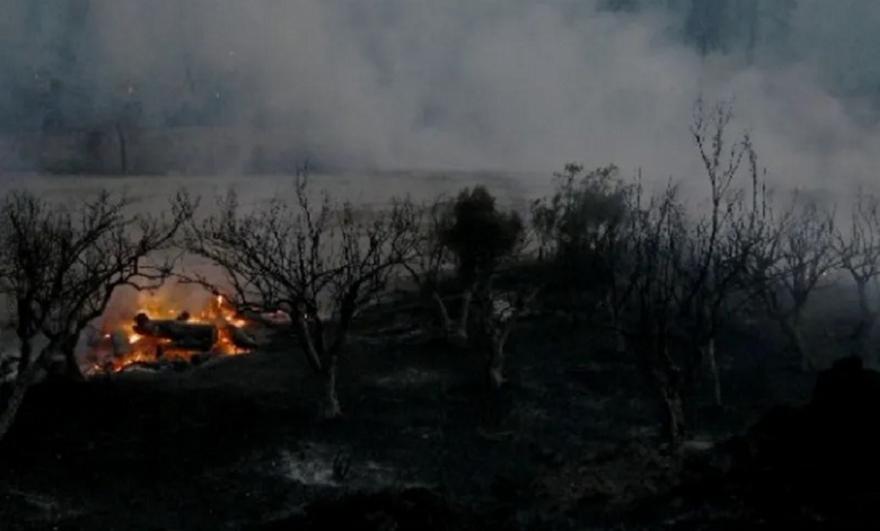Ολονύχτια μάχη με διάσπαρτες εστίες και αναζωπυρώσεις στη Χαλκιδική