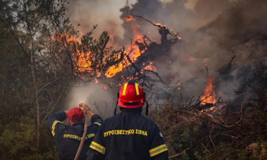 Φωτιά στη Χαλκιδική: Μάχη με τις διάσπαρτες εστίες για 2η ημέρα
