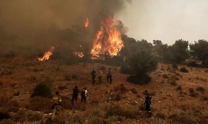 Έξι συλλήψεις για εμπρησμούς από αμέλεια και πρόστιμα σε Ηλεία, Έβρο, Αττική, Χίο