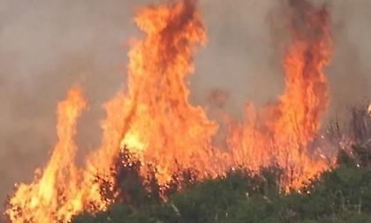 Πυρκαγιές στη Σαλαμίνα: Εννέα άτομα με εγκαύματα στο Κέντρο Υγείας