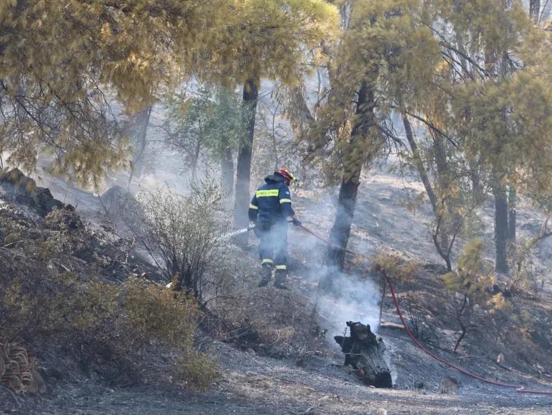 Συνελήφθη 80χρονος στην Καβάλα για εμπρησμό από πρόθεση