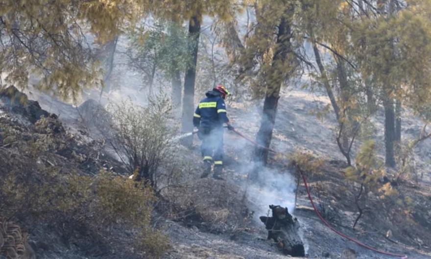 Δύο συλλήψεις σε Τρίκαλα και Κάρυστο για εμπρησμό από πρόθεση και για πυρκαγιά από αμέλεια