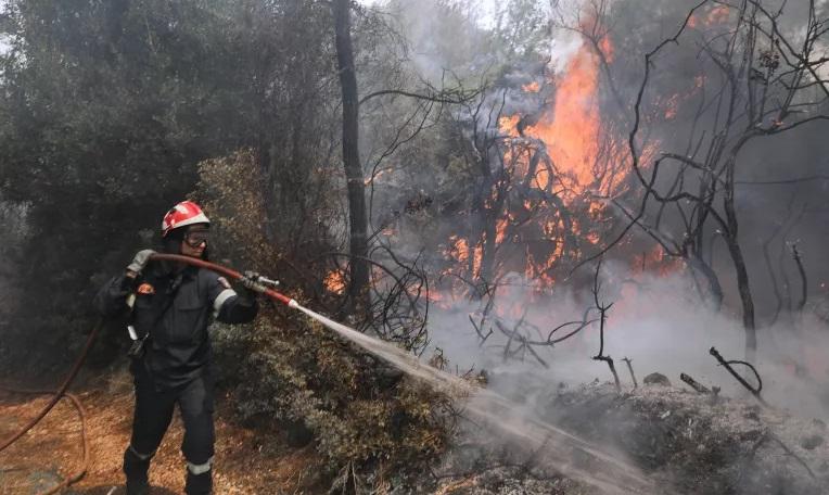 Φωτιά σε δασική έκταση στον Κόμιτο Καρύστου