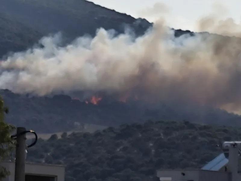Πυρκαγιά σε δασική έκταση στα Αϊβαλιώτικα Βόλου - Επιχειρούν 5 εναέρια