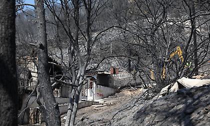 Συνελήφθη 49χρονος για πρόκληση πυρκαγιάς στην Σαλαμίνα
