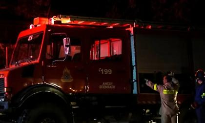 Πυρκαγιά σε δασική έκταση στην Πρώτη Σερρών