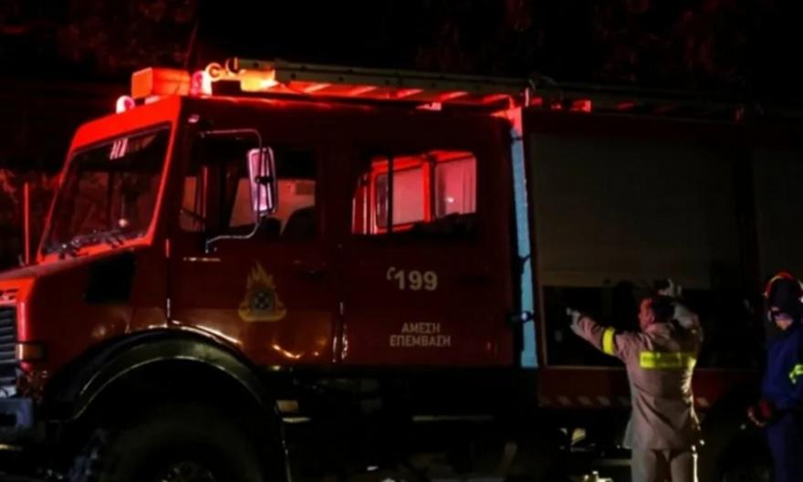 Πυρκαγιά σε δασική έκταση στην Πρώτη Σερρών